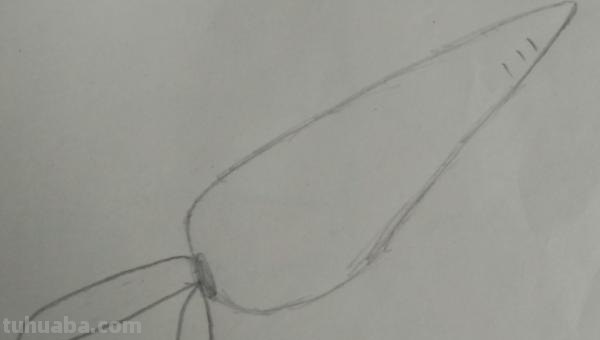 怎么画萝卜的简笔画（怎么画萝卜的简笔画图片）