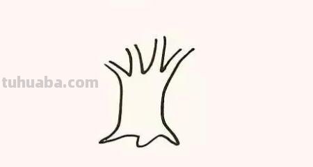 树怎么画简笔画步骤（树怎么画简笔画步骤图）