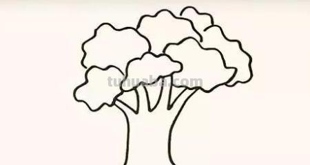 树怎么画简笔画步骤（树怎么画简笔画步骤图）