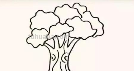 树怎么画简笔画步骤（树怎么画简笔画步骤图）