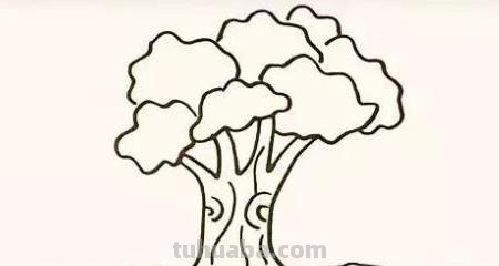 树怎么画简笔画步骤（树怎么画简笔画步骤图）