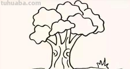 树怎么画简笔画步骤（树怎么画简笔画步骤图）