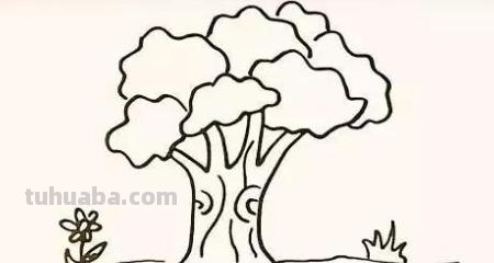 树怎么画简笔画步骤（树怎么画简笔画步骤图）