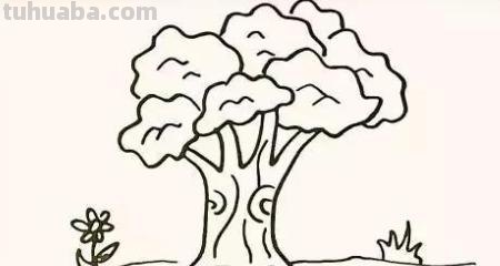 树怎么画简笔画步骤（树怎么画简笔画步骤图）
