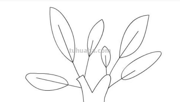 树怎么画简笔画步骤（树怎么画简笔画步骤图）