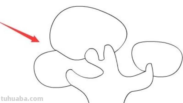 树怎么画简笔画步骤（树怎么画简笔画步骤图）