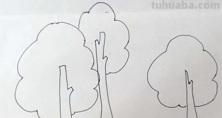 树怎么画简笔画步骤（树怎么画简笔画步骤图）
