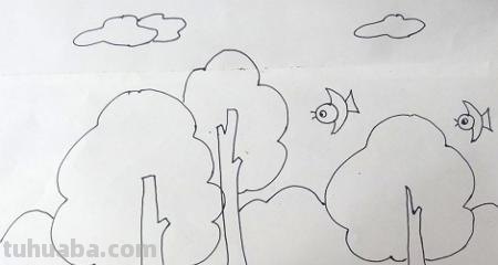 树怎么画简笔画步骤（树怎么画简笔画步骤图）