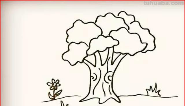 树怎么画简笔画步骤（树怎么画简笔画步骤图）