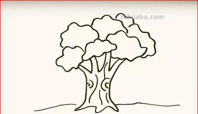 树怎么画简笔画步骤（树怎么画简笔画步骤图）