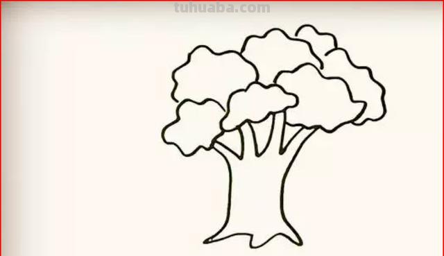 树怎么画简笔画步骤（树怎么画简笔画步骤图）