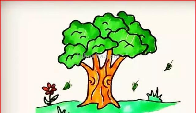 树怎么画简笔画步骤（树怎么画简笔画步骤图）