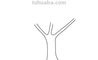 树怎么画简笔画步骤（树怎么画简笔画步骤图）