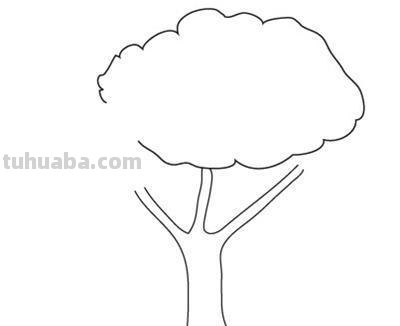 树怎么画简笔画步骤（树怎么画简笔画步骤图）