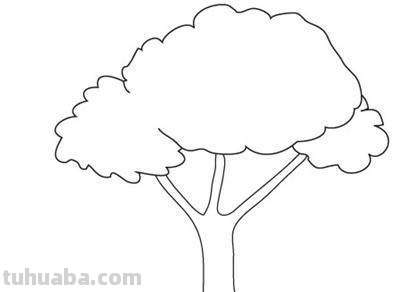树怎么画简笔画步骤（树怎么画简笔画步骤图）