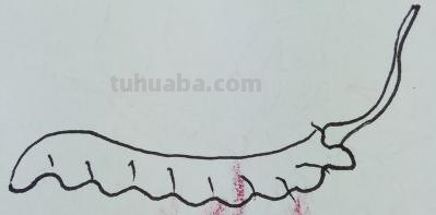 草怎么画简笔画图片（草怎么画简笔画图片大全大图）