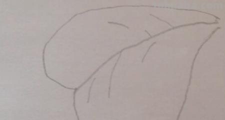 草怎么画简笔画图片（草怎么画简笔画图片大全大图）