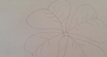 草怎么画简笔画图片（草怎么画简笔画图片大全大图）