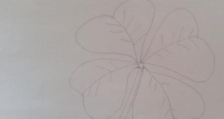 草怎么画简笔画图片（草怎么画简笔画图片大全大图）