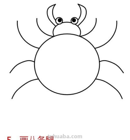 怎么画蜘蛛简笔画图片（怎么画蜘蛛简笔画图片大全大图）
