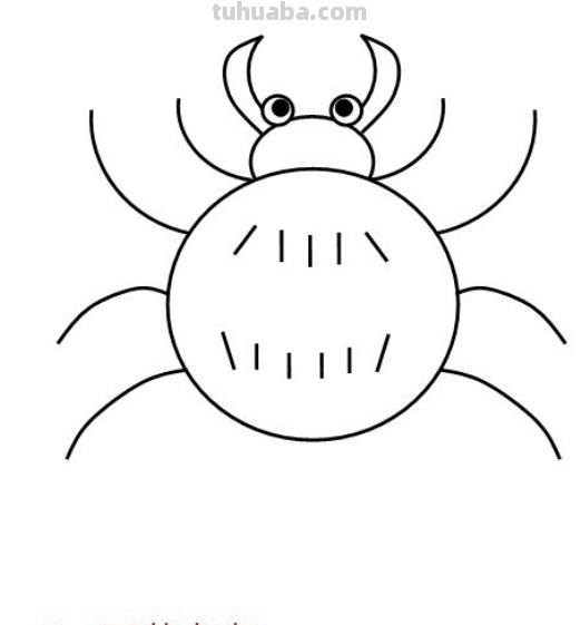 怎么画蜘蛛简笔画图片（怎么画蜘蛛简笔画图片大全大图）