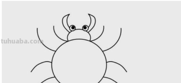 怎么画蜘蛛简笔画图片（怎么画蜘蛛简笔画图片大全大图）