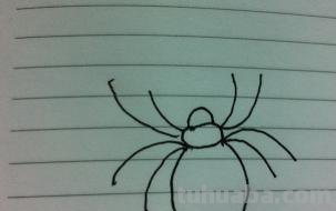 怎么画蜘蛛简笔画图片（怎么画蜘蛛简笔画图片大全大图）