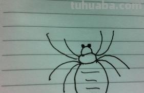 怎么画蜘蛛简笔画图片（怎么画蜘蛛简笔画图片大全大图）
