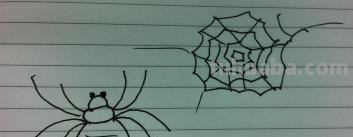 怎么画蜘蛛简笔画图片（怎么画蜘蛛简笔画图片大全大图）