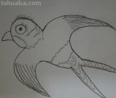 怎么画燕子简笔画图片（怎么画燕子简笔画图片大全）