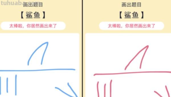 怎么画鲨鱼简笔画图片（怎么画鲨鱼简笔画图片大全）