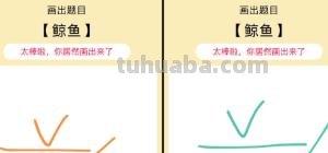 怎么画鲨鱼简笔画图片（怎么画鲨鱼简笔画图片大全）