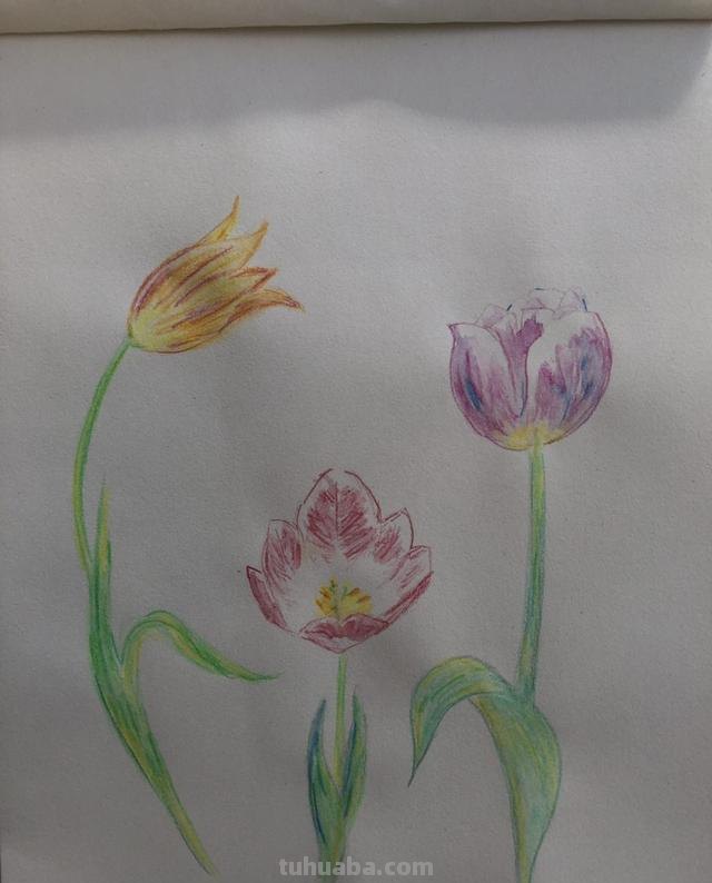 怎么学简笔画（怎么学简笔画图片大全）