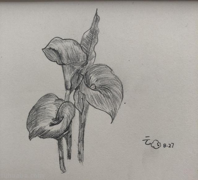 怎么学简笔画（怎么学简笔画图片大全）