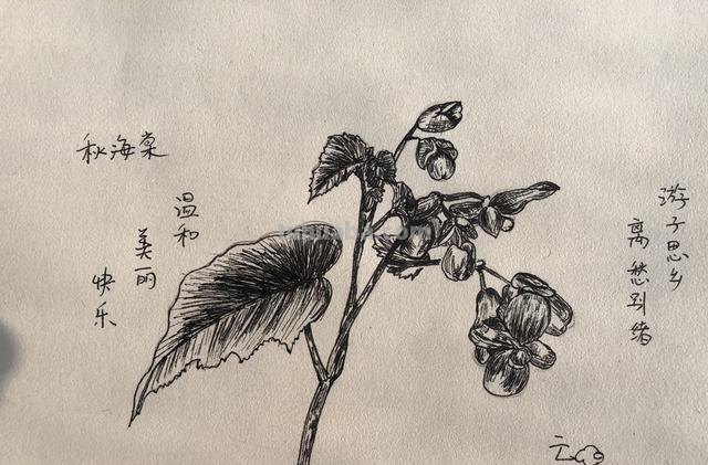 怎么学简笔画（怎么学简笔画图片大全）