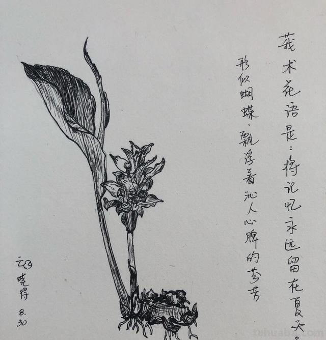 怎么学简笔画（怎么学简笔画图片大全）