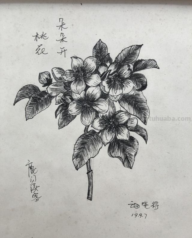 怎么学简笔画（怎么学简笔画图片大全）