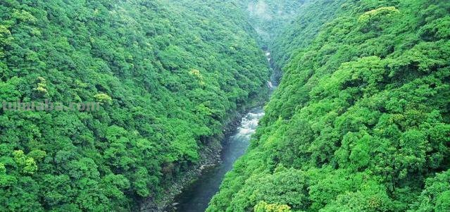 动漫中的场景是怎么设定的呢?