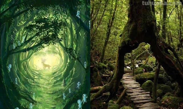 动漫中的场景是怎么设定的呢?