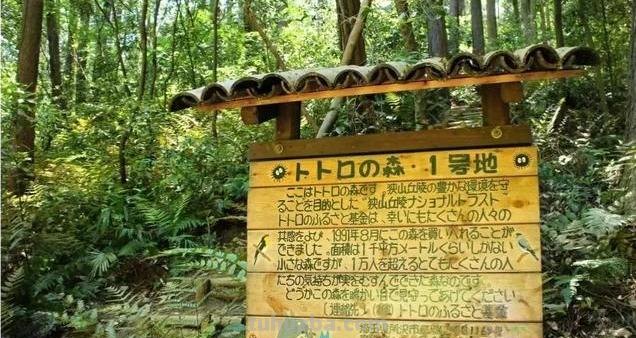 动漫中的场景是怎么设定的呢?