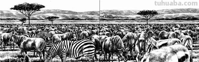 动漫中的场景是怎么设定的呢?