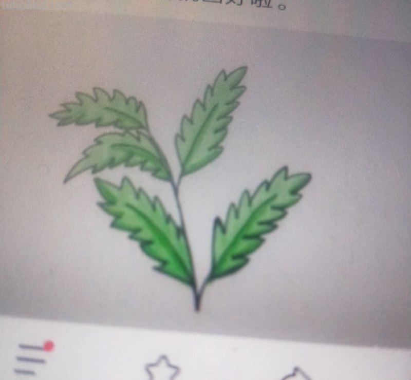 艾草怎么画简笔画（艾草怎么画简笔画步骤）