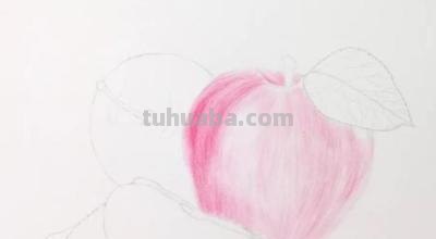 怎么画苹果用彩铅画(怎么画苹果用彩铅画的) 怎么画苹果用彩铅画(怎么画苹果用彩铅画的)