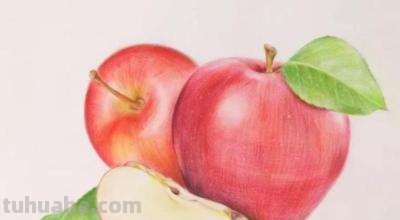 怎么画苹果用彩铅画(怎么画苹果用彩铅画的) 怎么画苹果用彩铅画(怎么画苹果用彩铅画的)