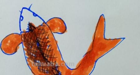 鲤鱼怎么画简笔画（鲤鱼怎么画简笔画图片）