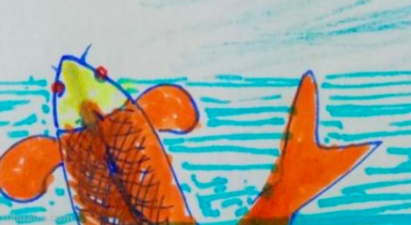 鲤鱼怎么画简笔画（鲤鱼怎么画简笔画图片）