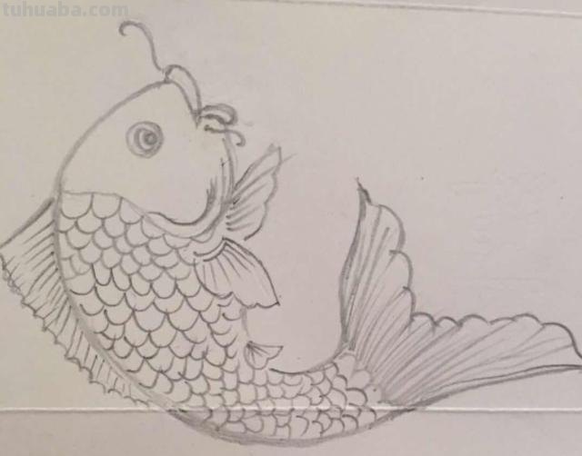 鲤鱼怎么画简笔画（鲤鱼怎么画简笔画图片）