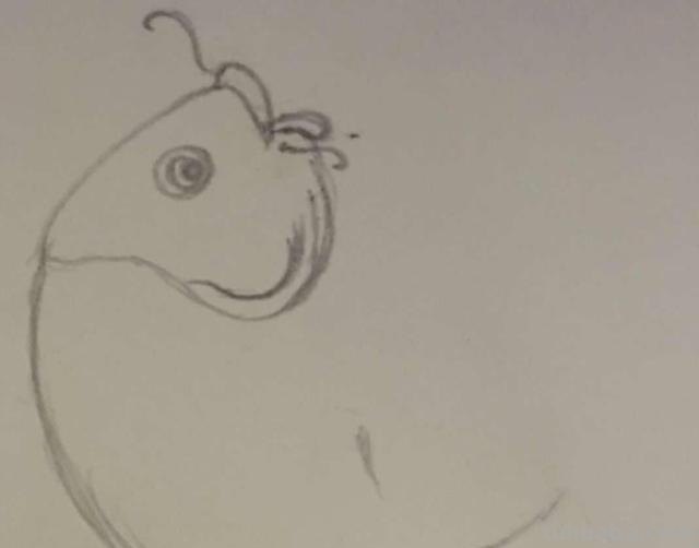 鲤鱼怎么画简笔画（鲤鱼怎么画简笔画图片）