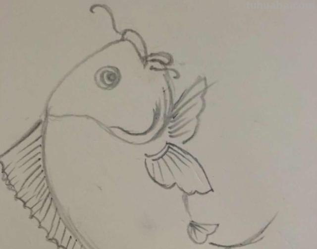 鲤鱼怎么画简笔画（鲤鱼怎么画简笔画图片）