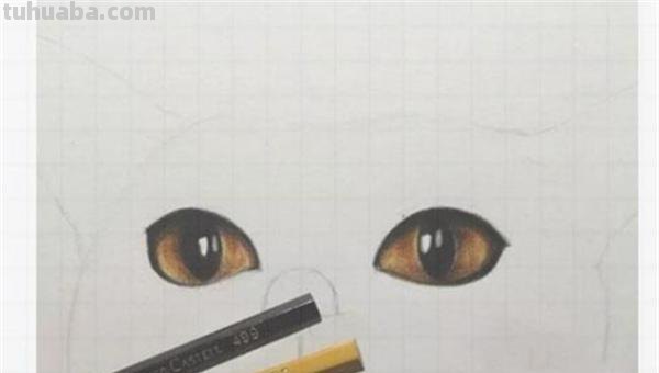 小猫怎么画彩铅画教程(小猫怎么画彩铅画教程视频) 小猫怎么画彩铅画教程(小猫怎么画彩铅画教程视频)